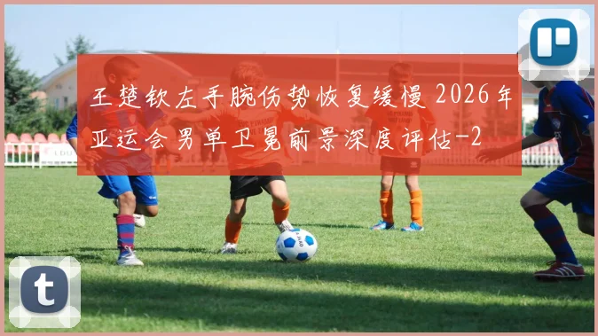 王楚钦左手腕伤势恢复缓慢 2026年亚运会男单卫冕前景深度评估