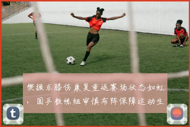 樊振东膝伤康复重返赛场状态如虹,国乒教练组审慎布阵保障运动生涯